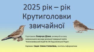 Презентація на тему: «2025 рік – рік Крутиголовки звичайної» (Боярчук Діана)