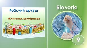 Робочий аркуш до теми: "Клітинна мембрана". Біологія 9 клас