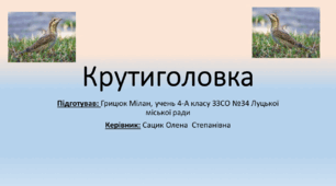 Презентація "Крутиголовка "  (Грицюк Мілан)