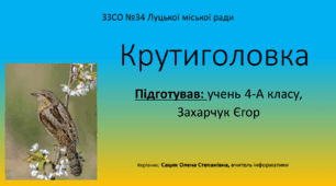 Презентація "Крутиголовка " (Захарчук Єгор)