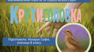 Презентація "Крутиголовка " (Назарук Софія)