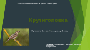 Презентація "Крутиголовка " (Денисюк Софія)