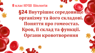 Презентація  до уроку  «§24. Внутрішнє середовище організму та його складові. Поняття про гомеостаз.Кров, її склад та функції. Органи кровотворення» 8 класНУШ