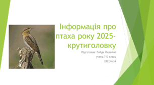 Презентація "Інформація про птаха року 2025-крутиголовку " (Гайда Михайло)
