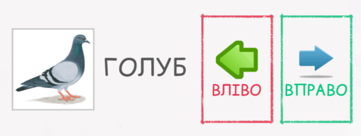 09003ew7-65ab-528x199.png