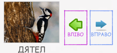09003ewj-4c7d-491x223.png