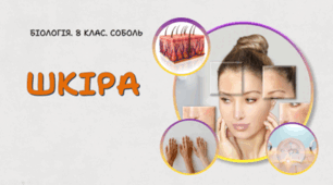 Шкіра. 8 клас НУШ.