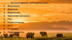 Конспект уроку з біології в 7 класу на тему: "Особливості життєдіяльності тварин"