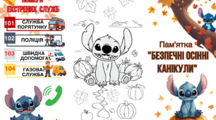 🍂 Пам’ятка на осінні канікули зі Стічем! 💙