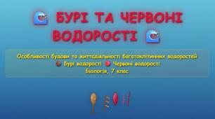 Інтерактивна вікторина: Які особливості бурих і червоних водоростей.7 клас біологія НУШ