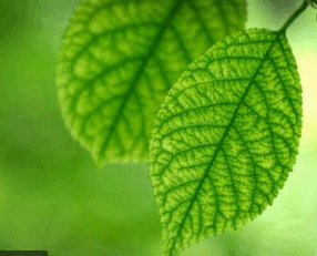 09003mpw-8a4f-286x231.png