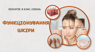 Функціонування шкіри. 8 клас НУШ