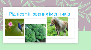 Рід незмінюваних іменників. 6 клас