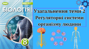 Узагальнення теми "Регуляторні системи організму людини" 8 клас НУШ ГР2 та ГР3