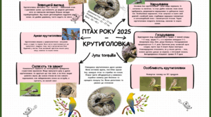 Буклет "Птах року 2025 – крутиголовка"(Боярчук Діана, 8 клас)
