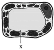 09003vjx-e34c-207x194.png