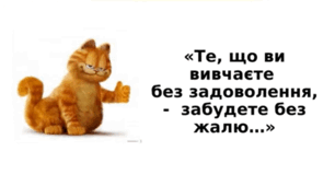Контрольна робота з теми "Пряма і непряма мова"