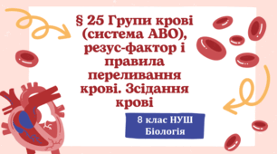 Презентація  до уроку  «§ 25 Групи крові (система АВО), резус-фактор і правила переливання крові. Зсідання крові»  8клас НУШ