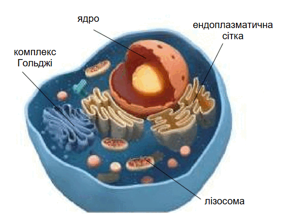 09003wfz-6b6e-583x444.png
