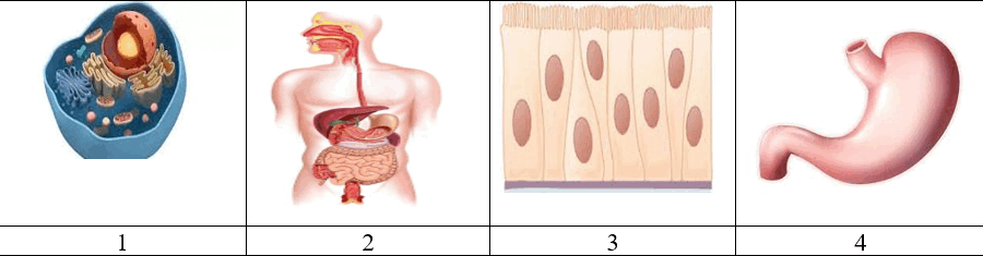 09003wyd-d94b-900x235.png