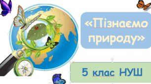 Узагальнення знань з теми "Досліджуємо тіла та речовини"