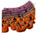 09003yr1-219d-146x132.png