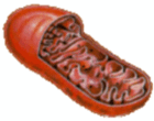 09003yt9-40eb-140x110.png