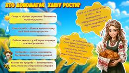 09003z67-dbe4-261x147.jpg