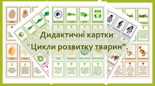 Дидактичні картки “Цикли розвитку тварин”.