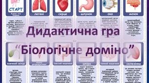 Анатомія людини. Дидактична гра “Біологічне доміно”