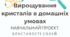 Посібник "Вирощування кристалів в домашніх умовах"