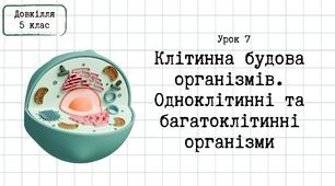 Довкілля 5 клас_Урок 7_Клітинна будова організмів. Одноклітинні та багатоклітинні орагнізми.