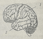 09004ba6-766d-175x156.png
