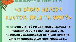 Дидактична гра «З якого дерева листок, плід та цвіт?»
