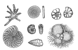 09004cqk-4e0d-251x161.png