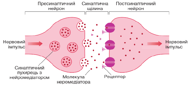 09004d15-fa0d-658x300.png