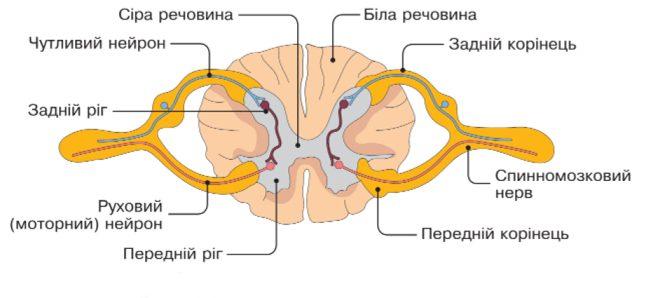 09004d62-58ae-937x425.png