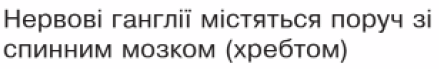 09004d8o-b652-439x69.png