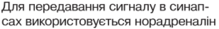 09004d8w-2e2b-441x59.png