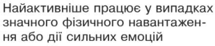 09004d92-ae9c-441x95.png