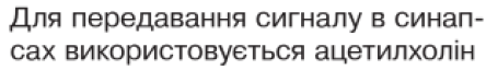 09004d9h-5445-444x64.png