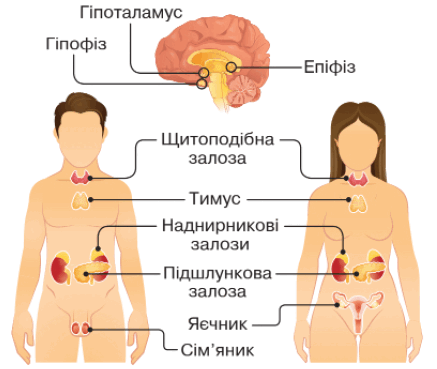 09004dbc-293d-437x369.png