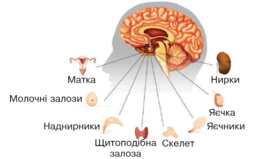 09004dc6-b58a-571x324.png