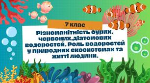 Різноманітність бурих, червоних,діатомових водоростей. Роль водоростей у природних екосистемах та житті людини.