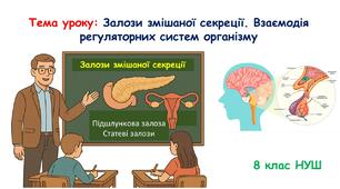 Презентація з біології 8 клас НУШ: Залози змішаної секреції. Взаємодія регуляторних систем організму