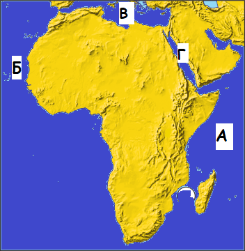 09004mam-a451-352x360.png