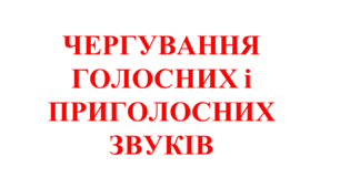 Чергування голосних і приголосних звуків (НУШ)