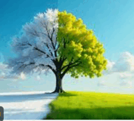09004oqa-3758-194x175.png