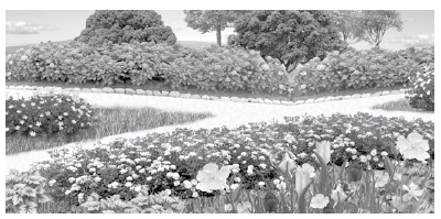 09004pdd-772c-400x199.png