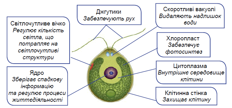 09004qv9-1229-743x348.png